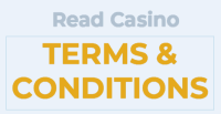 Casino Terms and Conditions